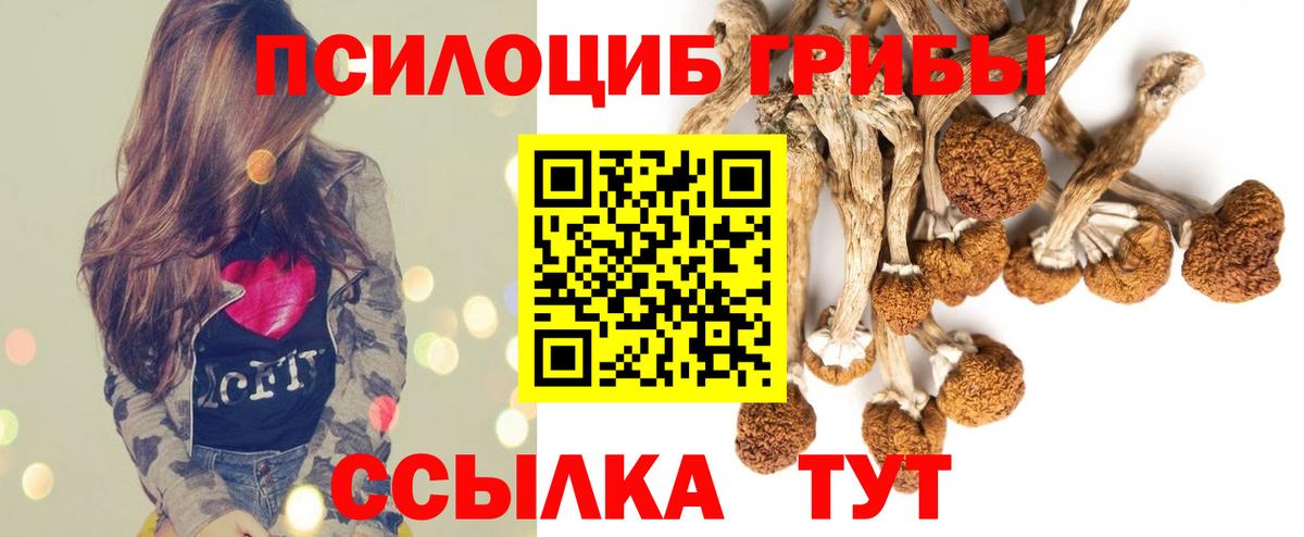 Галлюциногенные грибы ЛСД Дивногорск