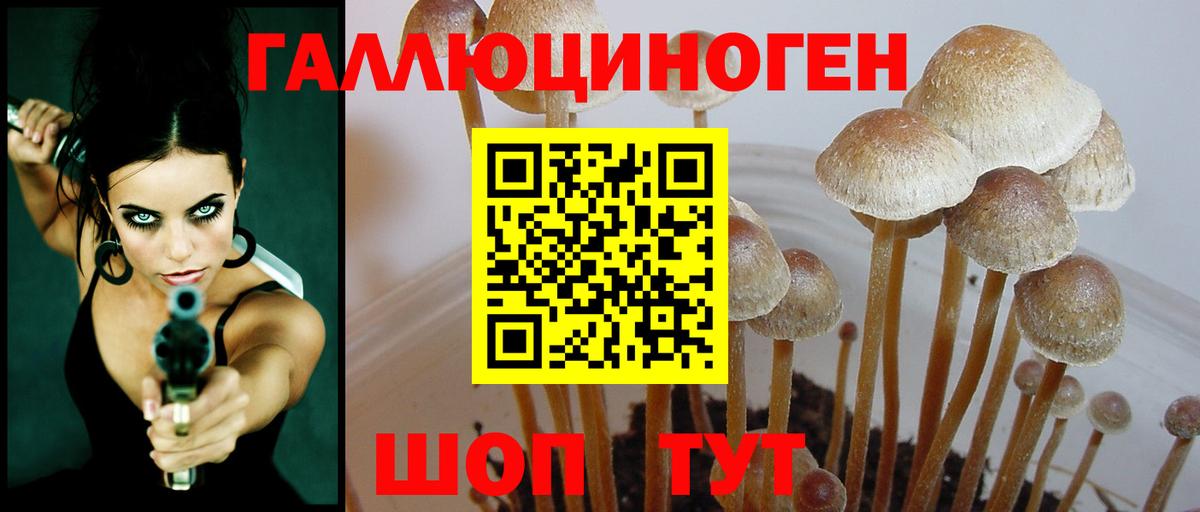Галлюциногенные грибы Magic Shrooms  Галлюциногенные грибы Psilocybe  Дивногорск  купить  цена  Вход с VPN 